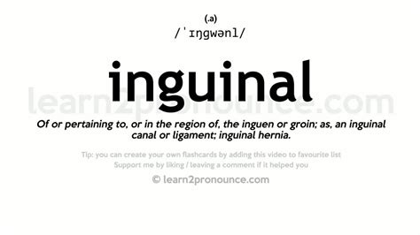 inguinal meaning in chinese